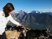 Anello del Monte Berlinghera, balcone panoramico sul Lago di Como e di Mezzola il 14 dicembre 2013 - FOTOGALLERY